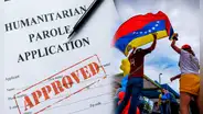 Parole Humanitario en EE. UU.: ¿cómo puedo ser patrocinador?
