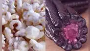 UNALM desarrolla nueva variedad de maíz morado ideal para pop corn