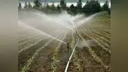 En 2050, se necesitará 35% más de agua para producir suficientes alimentos, alerta la FAO