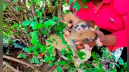 Rescatan a perrita sin hogar y a sus crías para trasladarlos a un refugio 