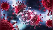 Inteligencia artificial logra predecir mutaciones del coronavirus SARS-CoV-2