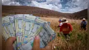 Bono por sequía: ¿cuáles son los requisitos para acceder al subsidio de hasta S/3.200?