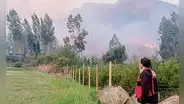 Incendios forestales destruyeron flora y fauna en Cusco