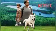 Netflix y su emotiva película que hace llorar a miles: ¿de qué trata y por qué es tan conmovedora?