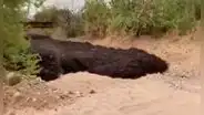 Río de lodo negro inunda una cañada de EE. UU. y autoridades explican este fenómeno [VIDEO]