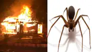 YouTube: intentó matar a una araña con un soplete, acabó quemando su casa [VIDEO] 