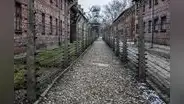 El horror de Auschwitz