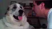 YouTube: Recibió cruel respuesta de su perro al intentar darle un beso