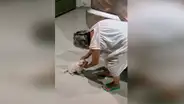 Anciana se despide de su perro y este tiene dramática reacción al verla alejarse [VIDEO]