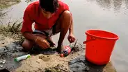 Vierte Coca cola y mentos en extraño agujero y decenas de peces emergen en segundos [VIDEO]