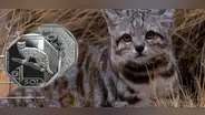 BCRP: el gato andino es el nuevo protagonista de la nueva moneda de 1 sol