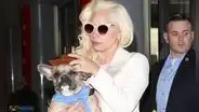 Lady Gaga: hombre que disparó al paseador de sus perros fue condenado a 21 años
