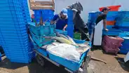 Abastecimiento y venta en el terminal pesquero del Callao continúa con normalidad pese a fuertes oleajes