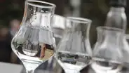 Chile: presentan proyecto ley para prohibir el ingreso del 'pisco' peruano