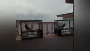 Hombre en cuarentena comprende lo que es vivir “encerrado” y tiene noble gesto con sus aves [VIDEO]