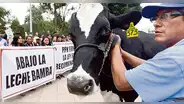 Solo se llamará leche a lo que proceda de leche fresca cruda y no de recombinación
