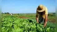 Bono rural de 760 soles: ¿cómo saber si soy beneficiario del subsidio estatal?