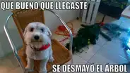 Facebook viral: mira los mejores memes por Navidad que te harán 'morir' de la risa [FOTOS]