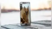 ¿Sabías que los teléfonos Samsung tienen escondidos una foto de un perro? Así puedes encontrarlo