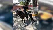Perro que vivía en la calle es adoptado por policías y ahora forma parte de los patrullajes [VIDEO] 