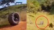 Facebook: joven hizo reto extremo en una llanta y casi pierde la vida [VIDEO]