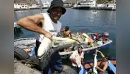 Oficializan norma para que los pescadores puedan retirar el 90% de su CTS