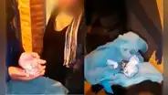 San Juan de Miraflores: capturan a madre acusada de vender droga con su menor hijo | Cocaína | PBC | VIDEO | PPLR
