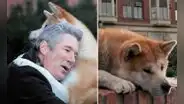 ‘Siempre a tu lado, Hachiko’: la película basada en el perro más fiel de la historia