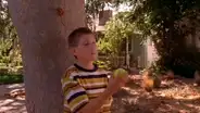 Google Maps: así luce la casa en la que se filmó la serie Malcolm in the Middle [FOTOS]