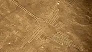 Pokémon: este es el pokémon inspirado en las Líneas de Nazca que sorprende a fans [FOTOS]