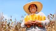 Transgénicos en Perú: Congreso aprueba dictamen para ampliar su moratoria hasta el 2035