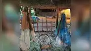 Encuentra a un perrito descansando en un nacimiento y le ayuda a buscar hogar