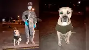 Perro abandonado se vuelve el mejor amigo de soldado en las madrugadas de cuarentena [FOTOS] 