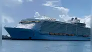 Médico salva por teléfono a bebé prematuro que nació en un crucero: “Fue un milagro”