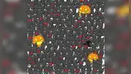 ¿Logras ver al gato oculto entre los murciélagos? El reto visual de Halloween que nadie supera [FOTOS] 