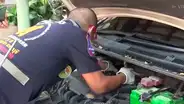 Mecánico queda aterrado al inspeccionar carro y hallar una peligrosa criatura [VIDEO]