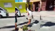 YouTube Viral: Video donde perro y gato se aparean genera asombro en la red