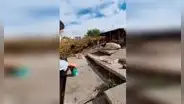 Niño conmueve al llevarle comida a unos pequeños gatos que fueron abandonados  [VIDEO] 