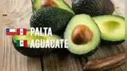 ¿Por qué los peruanos le decimos palta al aguacate a diferencia de otros países?