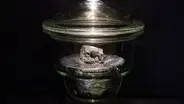 Hallan los ingredientes para la vida en meteorito que cayó a la Tierra en 2021