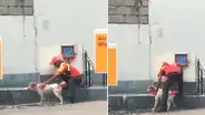 Grifero deja su trabajo para bañar a perrito callejero [VIDEO]