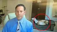 Meteorólogo realiza transmisión en vivo, pero su travieso perro se roba la atención de todos [FOTOS] 