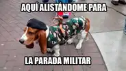 Parada Militar genera avalancha de graciosos memes y estos son los mejores [FOTOS]