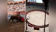 Plaza Acho: mueren 5 toros que iban a participar en corrida taurina en Lima