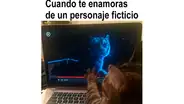 Los mejores memes de gatos a propósito de su Día Internacional