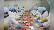 Exportaciones de marzo cayeron a su peor nivel en diez años