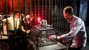 Saw: el orden cronológico de las películas de esta saga