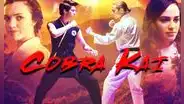 Cobra Kai: la referencia de Karate Kid que pocos espectadores notaron