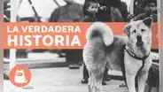 Conoce la historia verdadera de Hachiko, el leal perro que esperó a su amo por nueve años [VIDEO]