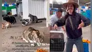 Joven se quedó varado en Arequipa y ayudó a gatitos abandonados